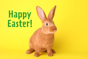 Happy Easter! Cute bunny on yellow background
