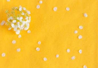 bright spring background - the combination of yellow and white creates an atmosphere of joy, copy space