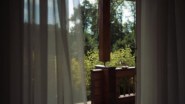 View from the house to the veranda through the open door. There are shoes on the porch railing. Wedding frame. High quality FullHD footage