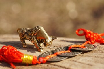 A bull figurine on a bright colored background. Nearby are Chinese Feng Shui coins.