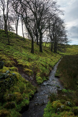 A brook, Johnstone, Renfrewshire, Scotland, UK