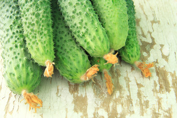 Fresh green cucumbers were collected from the garden bed. Gherkin before salting on an old shabby table. Organic vegetable on an organic farm. The concept of agriculture. Top view. Copyspace.