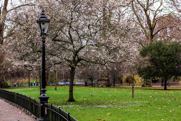 Un parque de Londres