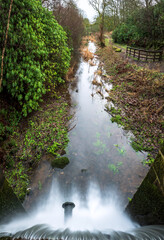 Cascade Complex, Parkhill Wood, Lochwinnoch, Renfrewshire, Scotland, UK