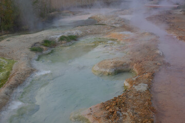 geyser in park, volcanic mud  on hot mineral springs natural texture