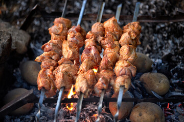 Kebabs in nature, with baked potatoes in coals, on an old home-made grill, with a shallow depth of field
