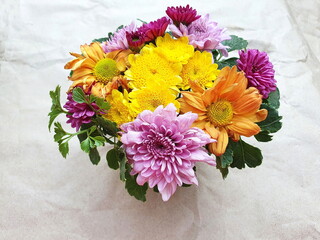 Chrysanthemum; Scientific Name: Dendranthemum grandifflora is brightly colored, beautifully arranged in low vases adorned with green leaves. Used to worship Buddha images or decorate the room
