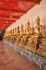 buddha in the temple