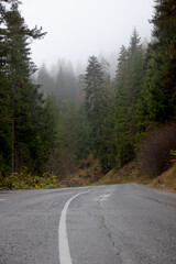 the road in the fog in the mountains in the forest in autumn