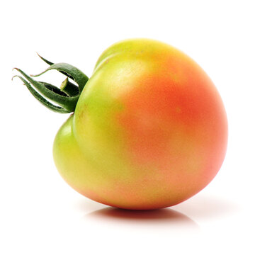 fresh tomatoes on white background 