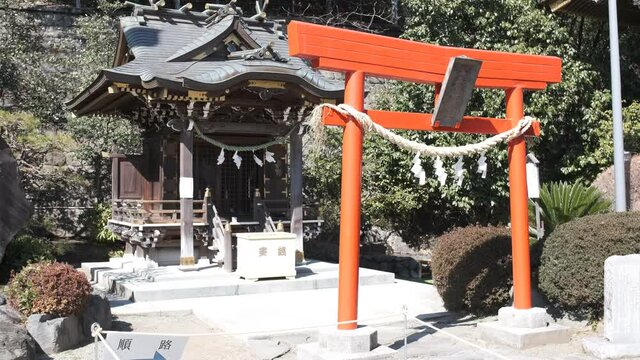 神社の銭洗弁天　琴平神社　4K