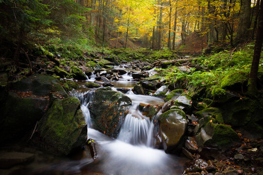 Gorczański Park Narodowy