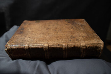 A copy of Froben and Amerbach's 1510 illustrated edition of the History of the Carthusian order of monks. The book has the original pigskin binding and is lavishly illuminated by hand.