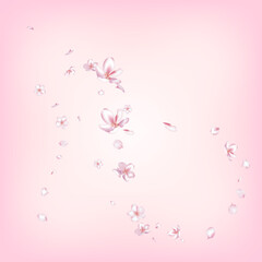 Obraz na płótnie Canvas Sakura Cherry Blossom Confetti. Flying Japanese Rose Cherry Sakura