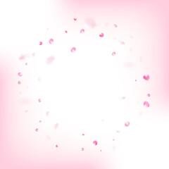 Fototapeta na wymiar Rose Petals Flying Confetti. Flying Japanese Sakura Rose Cherry