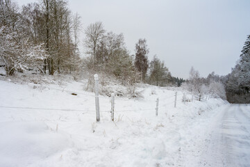 An icy and snowy winter road going through a meadow and forest landscape. Picture from Scania, southern Sweden