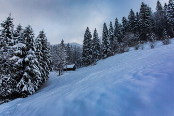 the old wooden house in the snowy forest