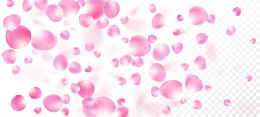 Rose Petals Falling Confetti. Windy Leaves Confetti Border. Flying