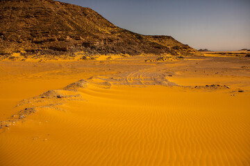 Beautiful landscape of sand dunes in Egypt. Sahara Desert. Background of orange sand wave. Africa desert