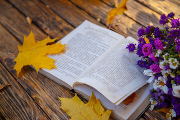 Naklejka na ściany i meble Book among fallen yellow autumn leaves and rowan berries andunder the bright rays of the sun