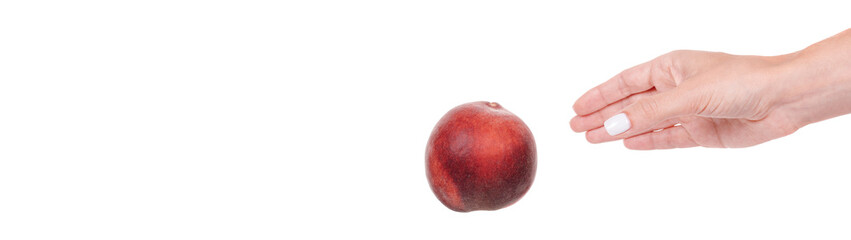 Hand with fresh raw peach fruit, isolated on white background.