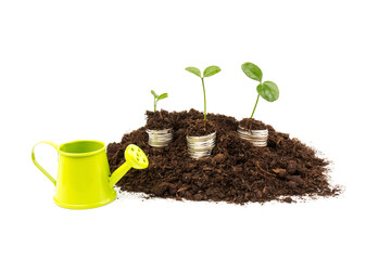 Gold coins in the soil with a young plant. The concept of money growth.
