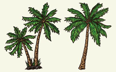 Tropical palm trees colorful concept © DGIM studio