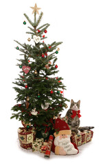 Christmas Cat