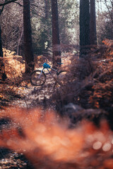 autumn in the woods - with mountain bike