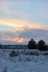 Beautiful winter landscape on a sunset background.