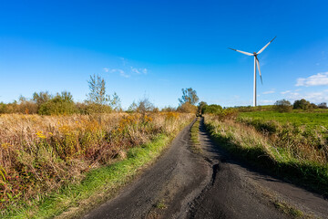 Green meadow with wind turbine