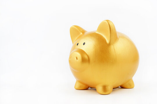 Golden piggy bank on white background. Copy space.