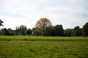 Artificially created park in Germany Bavaria for recreation