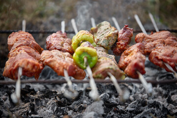 Kebabs in nature, on an old homemade grill, with a shallow depth of field
