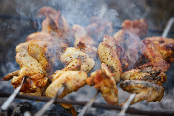 Outdoor shashlik from chicken wings, grilled wings, on a homemade barbecue, with shallow depth of field