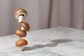 Balance of champignons mushrooms on a gray background. Eringo mushrooms