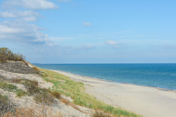 Fototapeta na wymiar White sand beach on Baltic Sea coast. National Park Curonian Spit