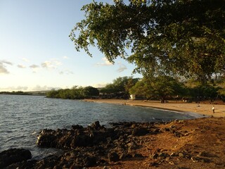 夕焼けに照らされるハワイの海岸