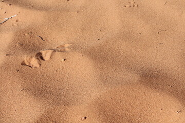 sand at arches national park utah