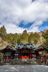 箱根神社 - 御本殿