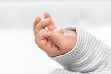 Dłoń małego noworodka - obrazy, fototapety, plakaty