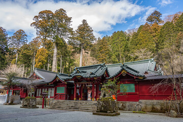 Fototapeta premium 箱根神社 - 御本殿