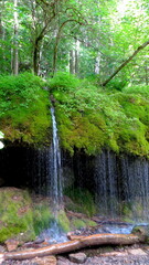 Wutachschlucht im Schwarzwald