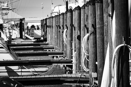 Black and white image of dock pilings at a marina in Key West FL