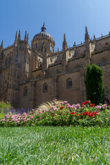 Catedral de salamanca © alex
