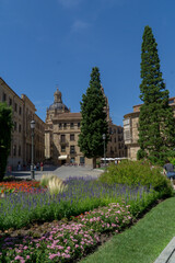 Catedral de salamanca © alex