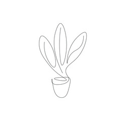 Plant in pot line drawing, vector illustration