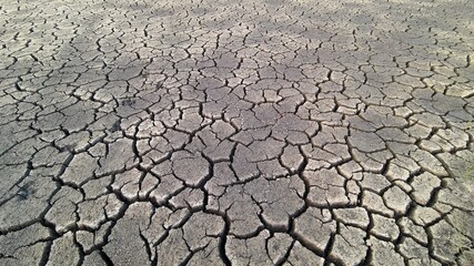 dry ground