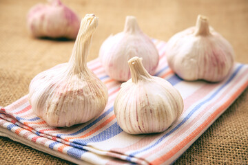 The garlic bulbs lie on a towel. The table is covered with a coarse burlap cloth. Ingredients for cooking dishes and sauces.