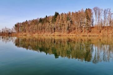 Wald spiegelt sich im See